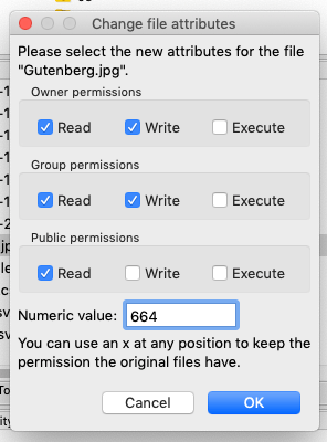 403 Forbidden Error - File Permissions