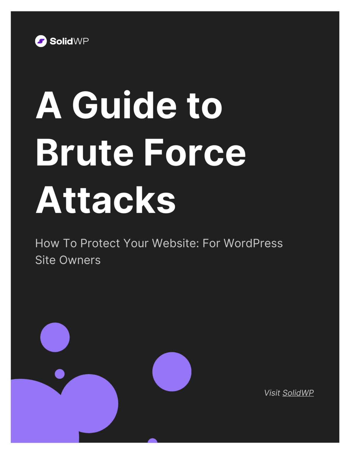FREE Solid Guide: "A Guide to Brute Force Attacks