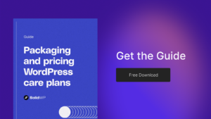 Packaging and Pricing WordPress Care Plans