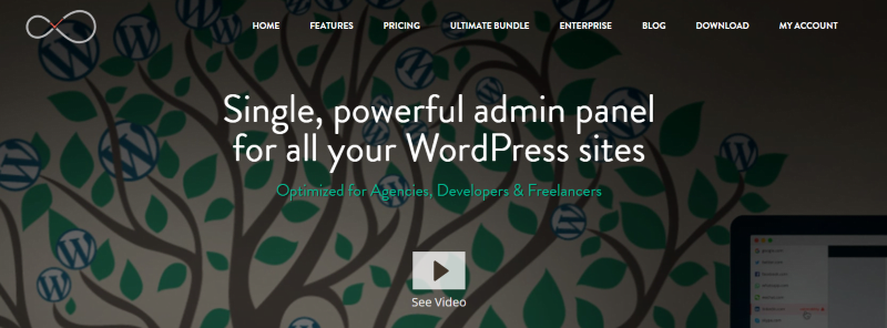 Unlocking Better Workflow: Managing Multiple WordPress Sites 16 InfiniteWP homepage